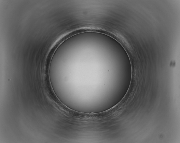X0000093140484200709261101