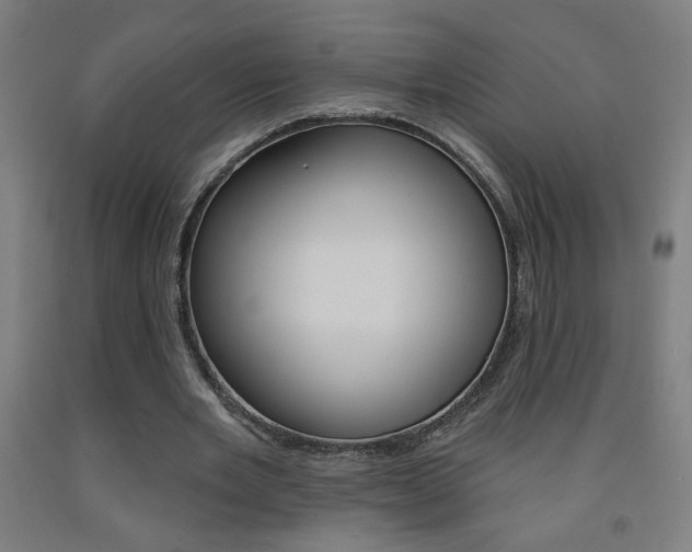 X0000093140485200709261101