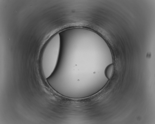 X0000093140486200709261101