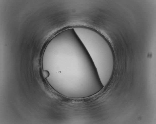 X0000093140487200709261101