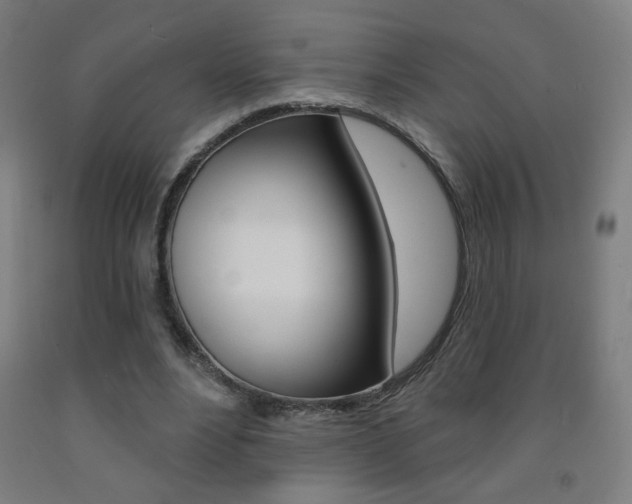 X0000093140488200709261101