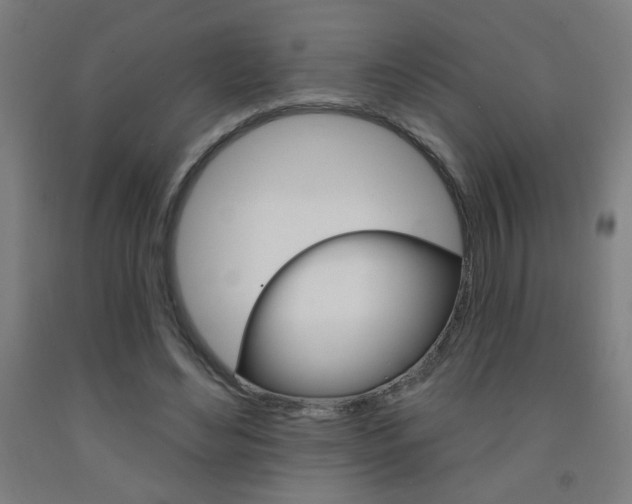 X0000093140492200709261101