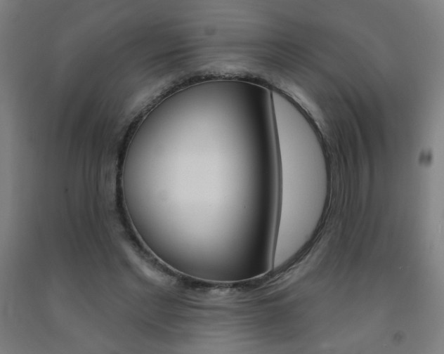 X0000093140493200709261101