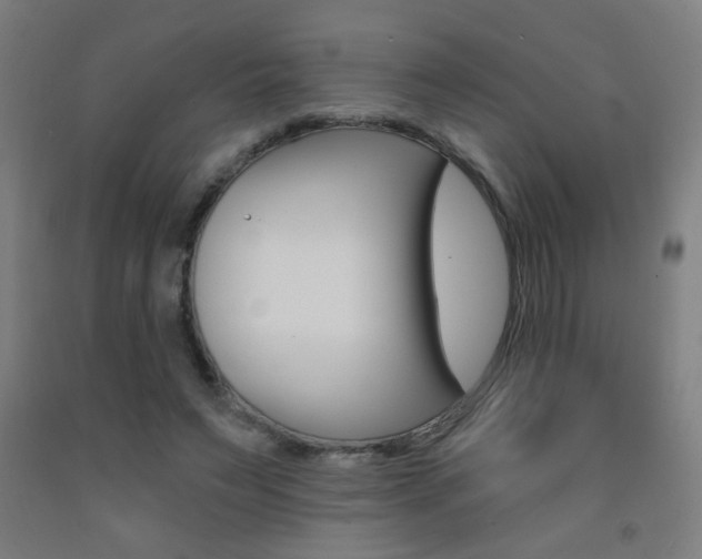 X0000093140495200709261101