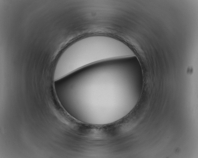 X0000093140496200709261101