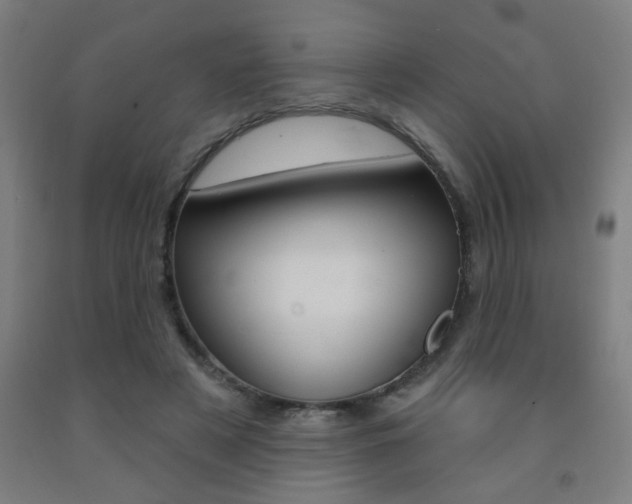 X0000093140497200709261101