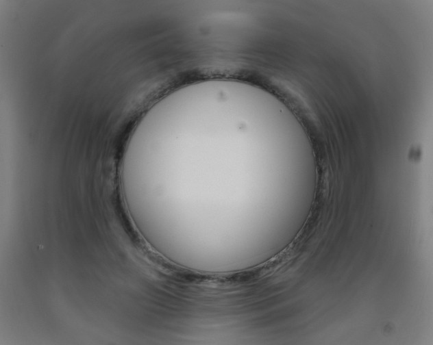 X0000093140498200709261101