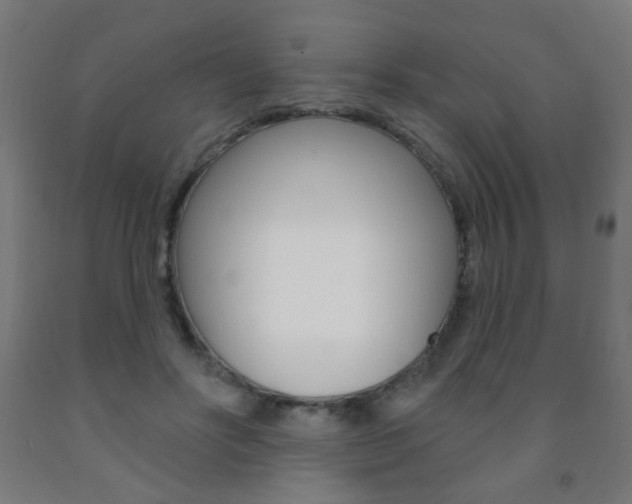 X0000093140502200709261101
