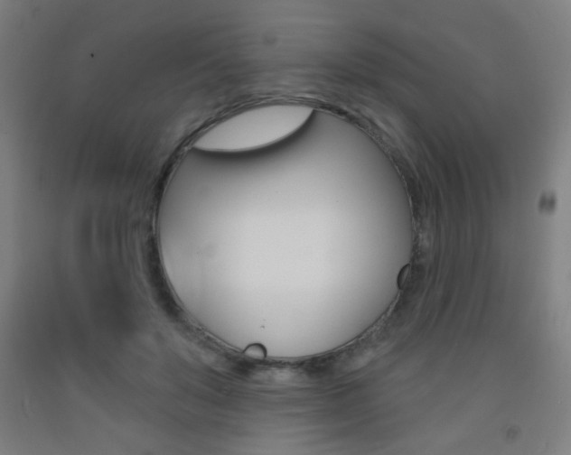 X0000093140503200709261101