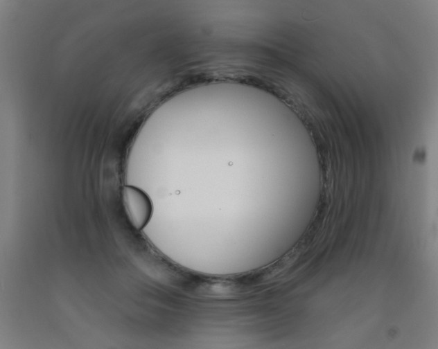 X0000093140506200709261101