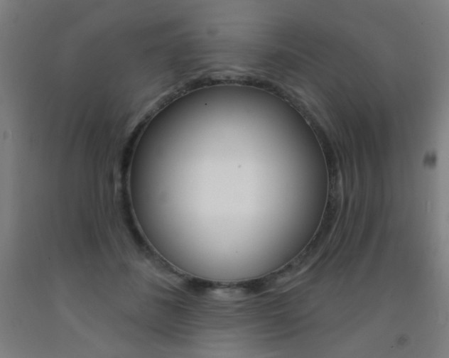 X0000093140508200709261101