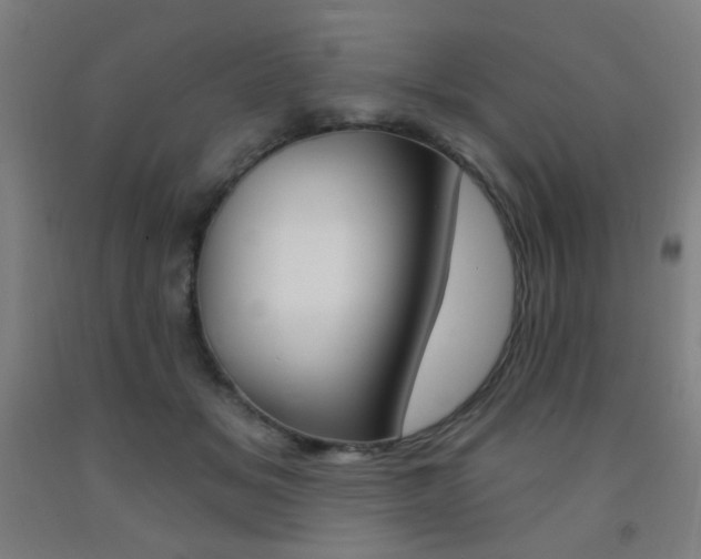 X0000093140509200709261101