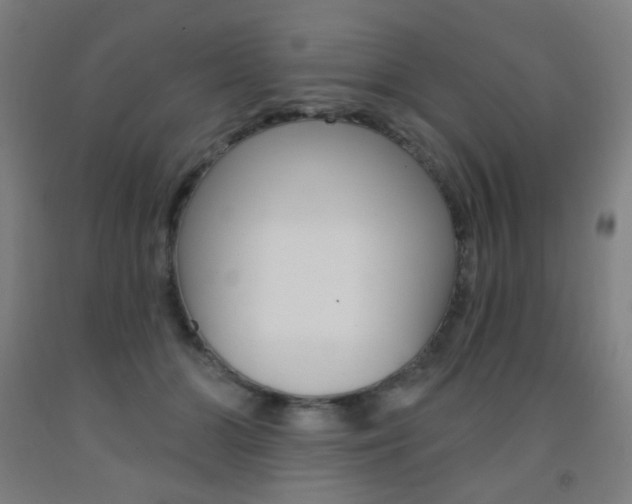 X0000093140510200709261101