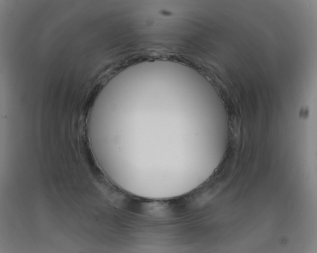 X0000093140511200709261101