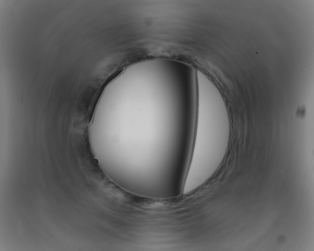 X0000093140513200709261101