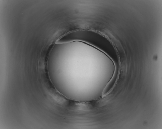 X0000093140516200709261101