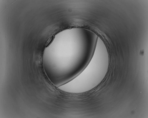 X0000093140517200709261101