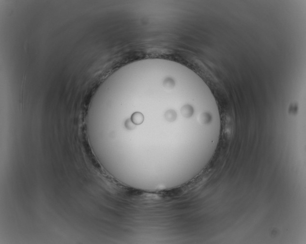 X0000093140519200709261101