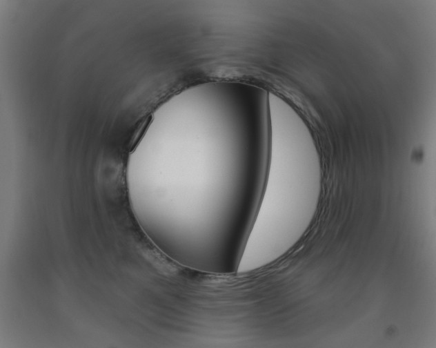 X0000093140521200709261101