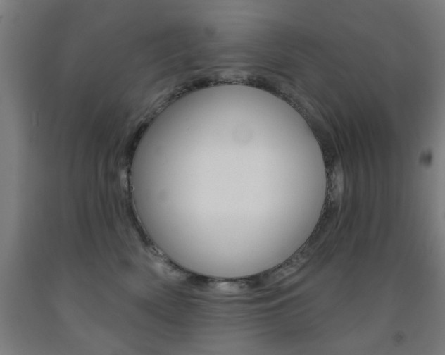 X0000093140522200709261101