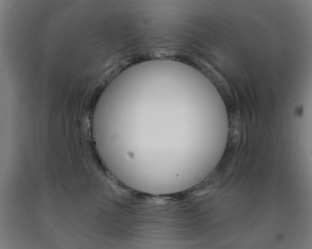 X0000093140523200709261101