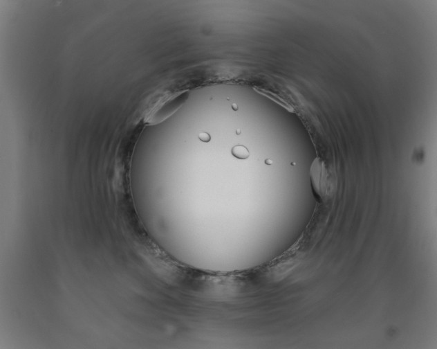 X0000093140524200709261101