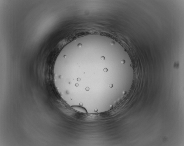 X0000093140527200709261101