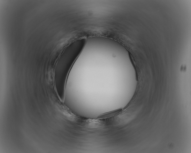 X0000093140528200709261101
