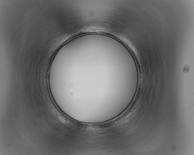 X0000093140529200709261100