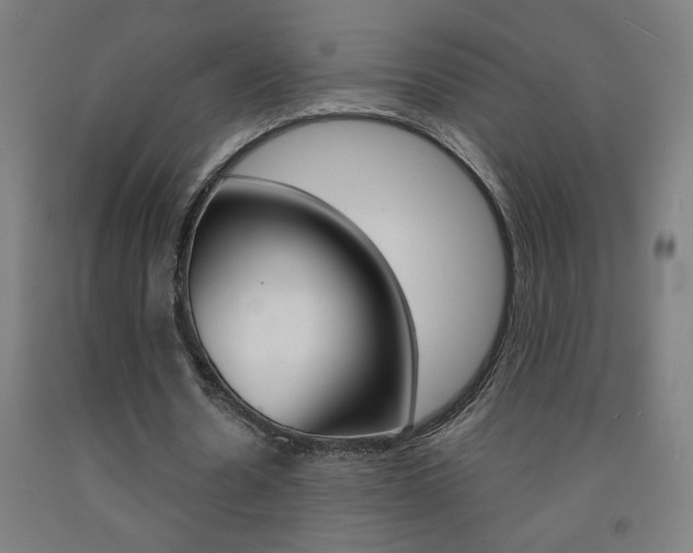 X0000093140530200709261100