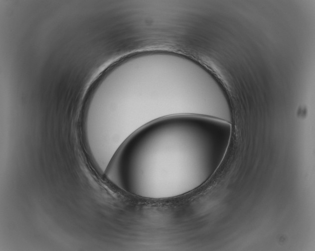 X0000093140532200709261100