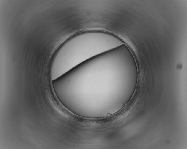X0000093140533200709261100