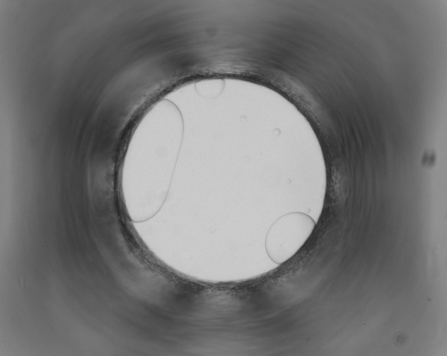 X0000093140534200709261100