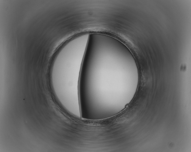 X0000093140535200709261100
