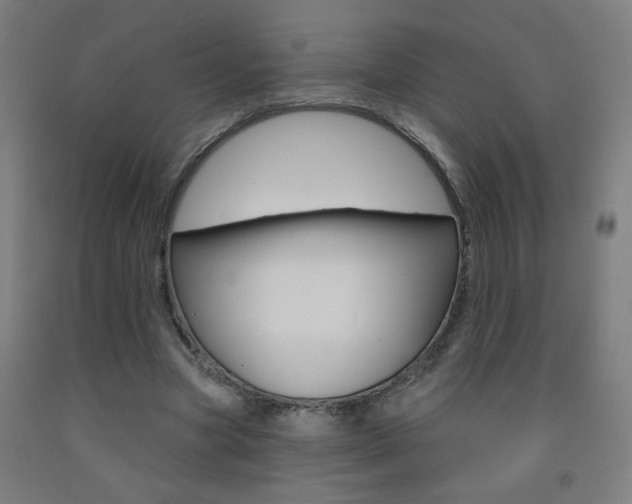 X0000093140537200709261100