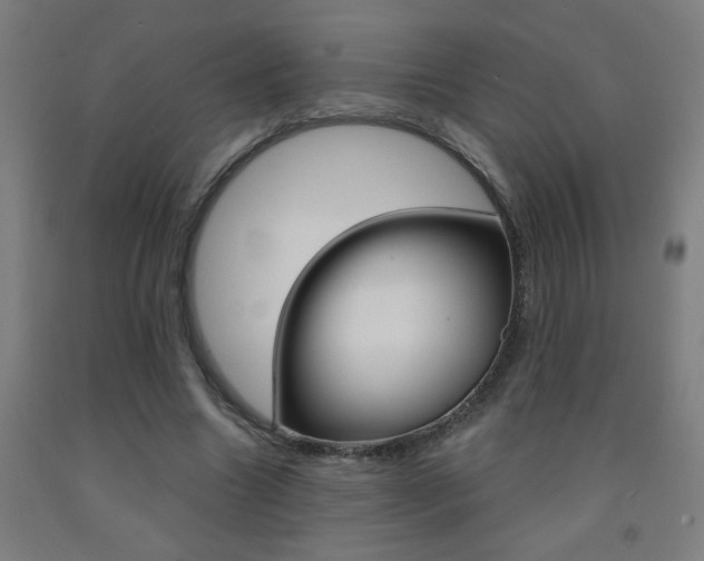 X0000093140538200709261100