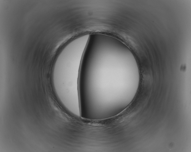 X0000093140539200709261100