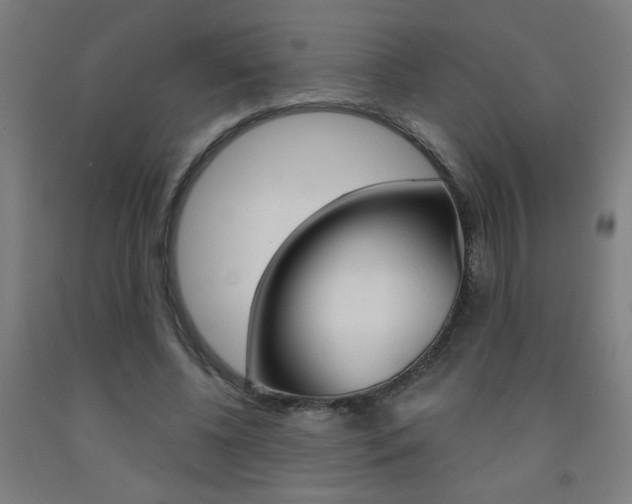 X0000093140540200709261100