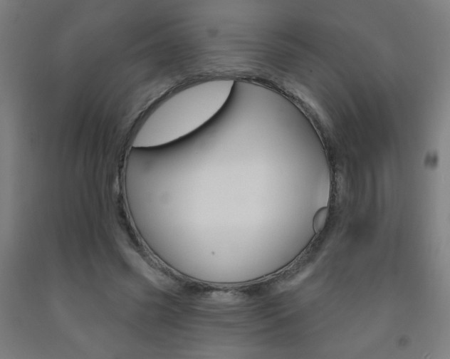 X0000093140541200709261100