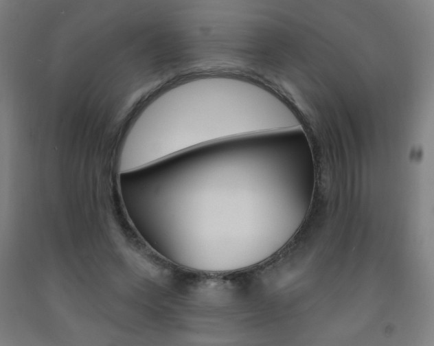 X0000093140543200709261100
