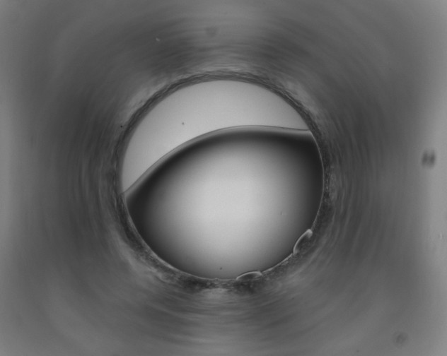 X0000093140544200709261100