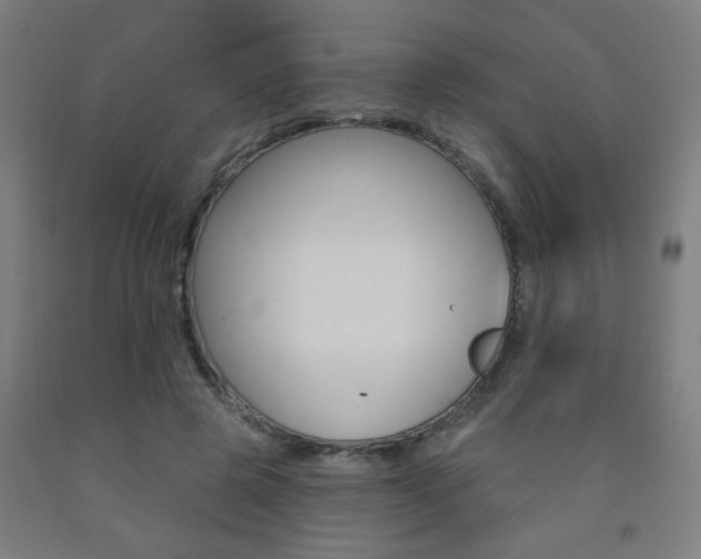 X0000093140545200709261100