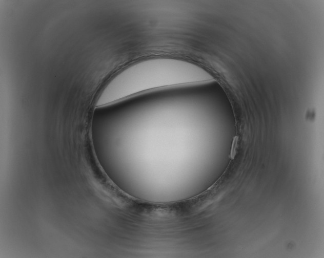 X0000093140546200709261100