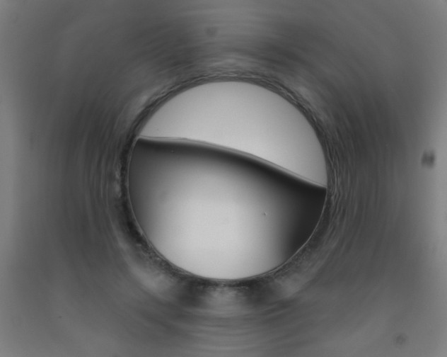 X0000093140547200709261100