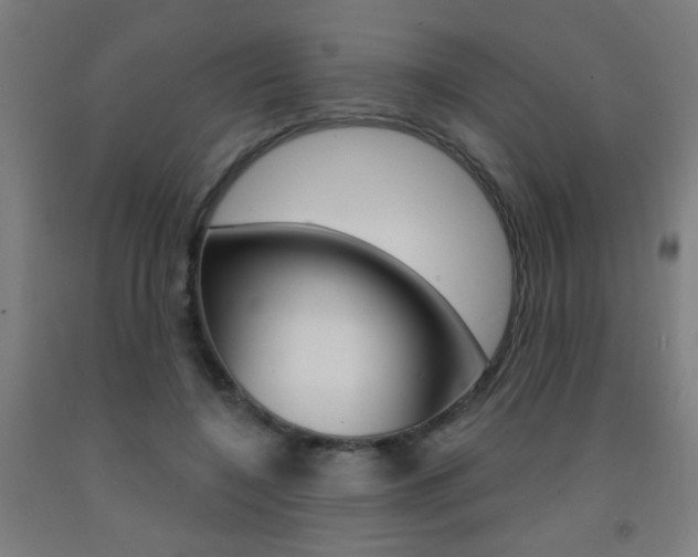 X0000093140548200709261100