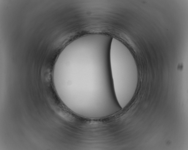 X0000093140549200709261100