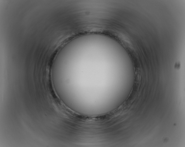 X0000093140550200709261100