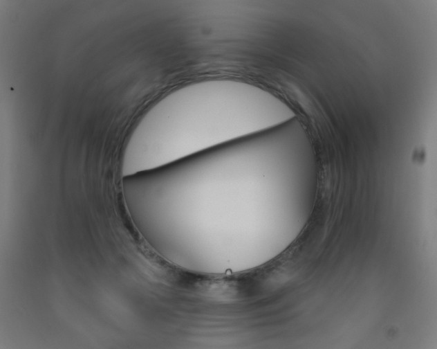 X0000093140553200709261100