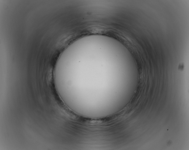 X0000093140554200709261100