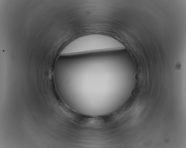 X0000093140555200709261101